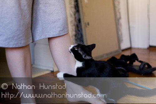 Misha_2008-08-06_IMG_1082